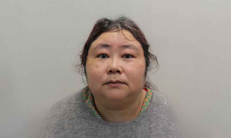 An artistic depiction of Zhimin Qian, possibly showing her elusive nature or digital presence, with elements of cryptocurrency symbols surrounding her.