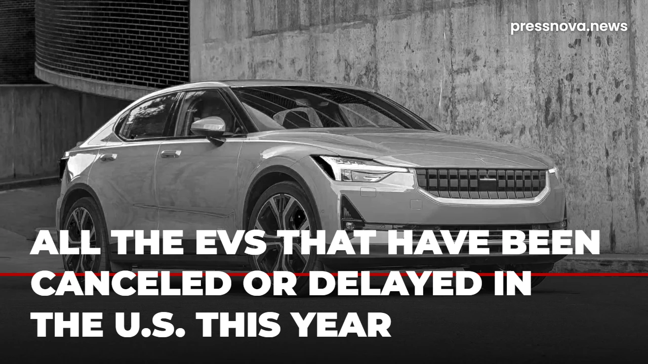 A row of electric vehicles charging at a public charging station.