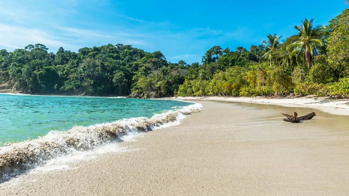 A tourist using a mobile phone, emphasizing the importance of staying connected and informed.