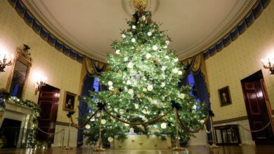 Watch holiday decorations light up the White House ahead of Christmas