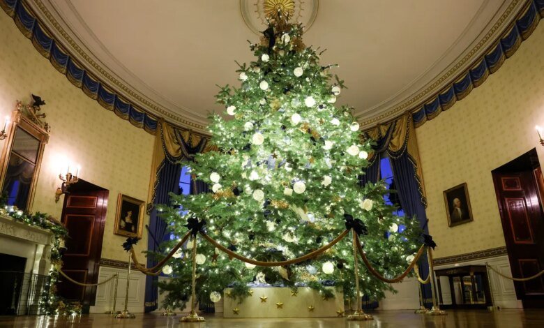 Watch holiday decorations light up the White House ahead of Christmas