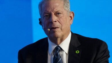 Al Gore urges Democrats to send a 'shock wave' in Tennessee race