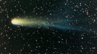 Harvard Prof Avi Loeb analyses the ghostly dust trail shed by 3I/ATLAS