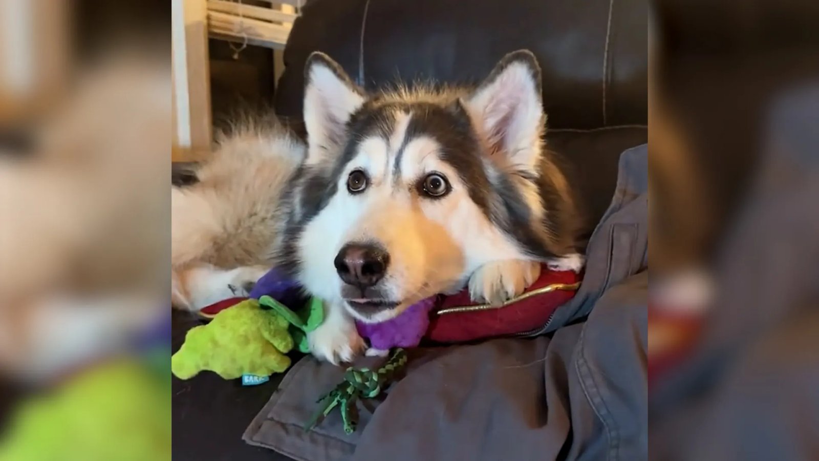 A whimsical, snow-covered Whoville with brightly lit houses and cheerful Whos preparing for Christmas, unaware of the Grinch's impending visit.