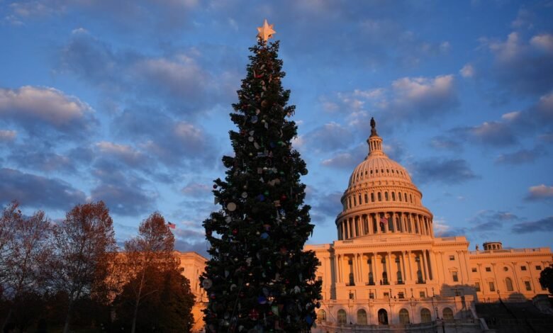 See the 2025 National Christmas Tree lighting ceremony