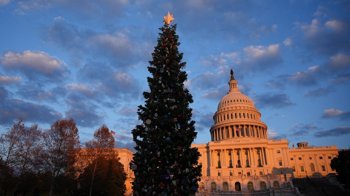 The National Christmas Tree stands tall and brightly lit during the annual lighting ceremony.