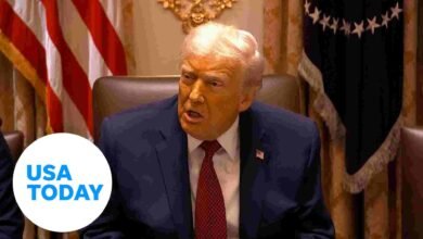 Trump insults ABC reporter