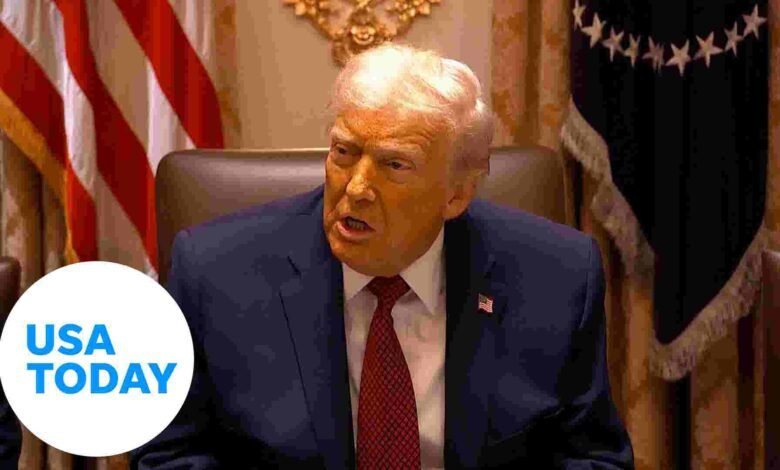 Trump insults ABC reporter