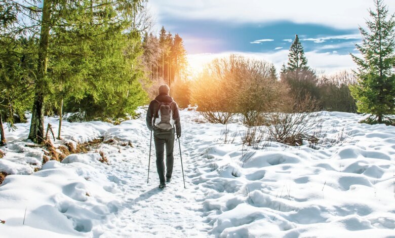 Must-haves for winter walks: toasty jackets, warm gloves, reflective gear and more