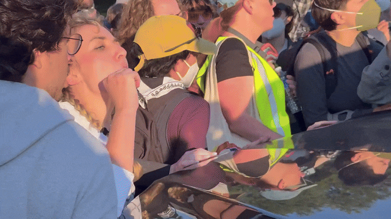 Protesters, congressional candidate try to block ICE in Illinois Protesters, congressional candidate try to block ICE in Illinois