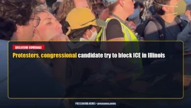 Protesters, congressional candidate try to block ICE in Illinois