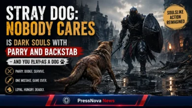 Stray Dog nobody cares gameplay showing a dog wielding a sword in its mouth in dark fantasy combat
